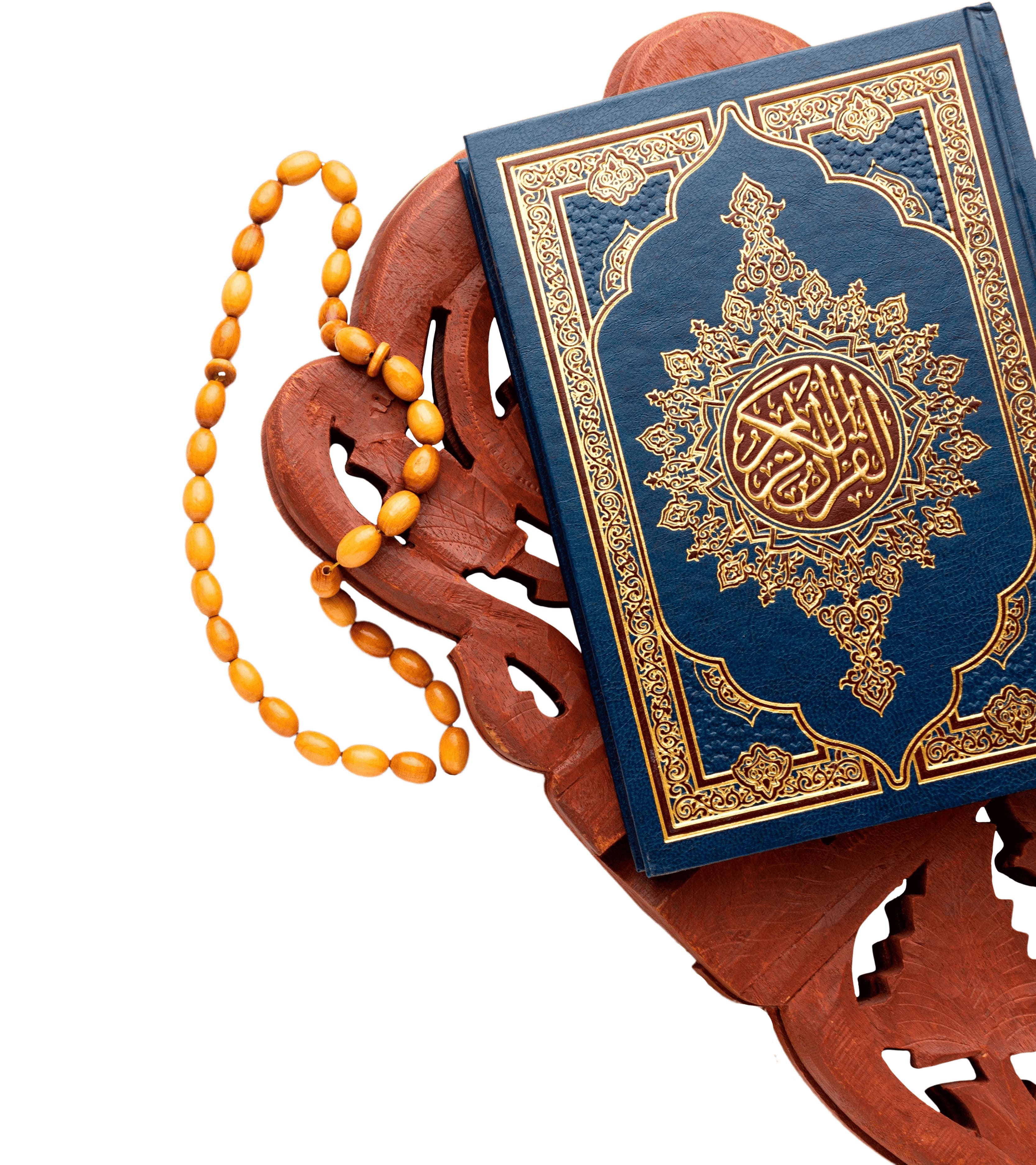 طالب يذاكر